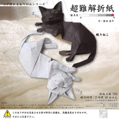 超難解折紙 眠りねこ