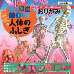 動く図鑑MOVE 人体のふしぎおりがみ
